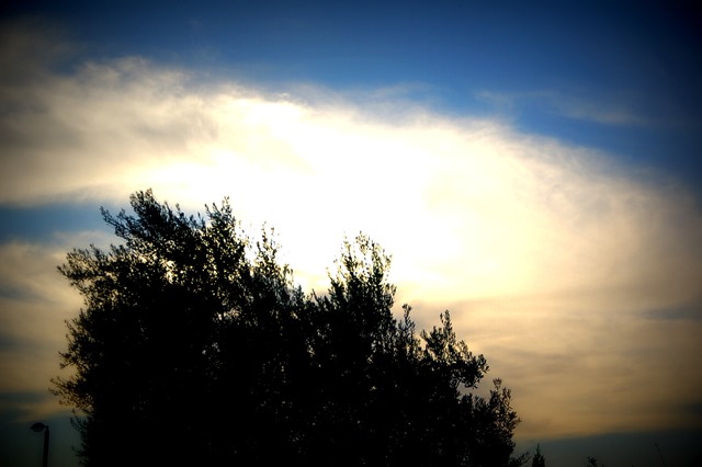 [DSC_01864.jpg]