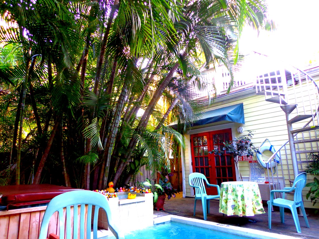 [Knowles%2520House%2520-%2520back%2520yard%252027.05.2011%252005-37-12%255B4%255D.jpg]