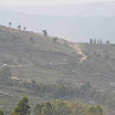 DSC_008200.jpg