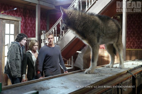 [wolftown2764.jpg]