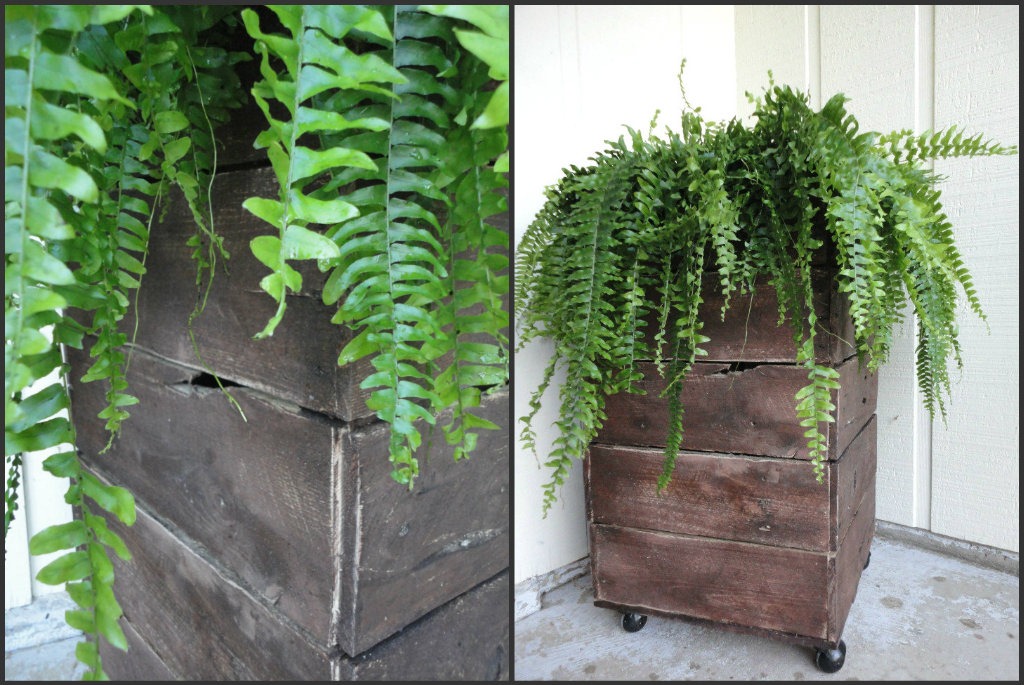 [Pallet%2520Planter%2520Collage%255B6%255D.jpg]