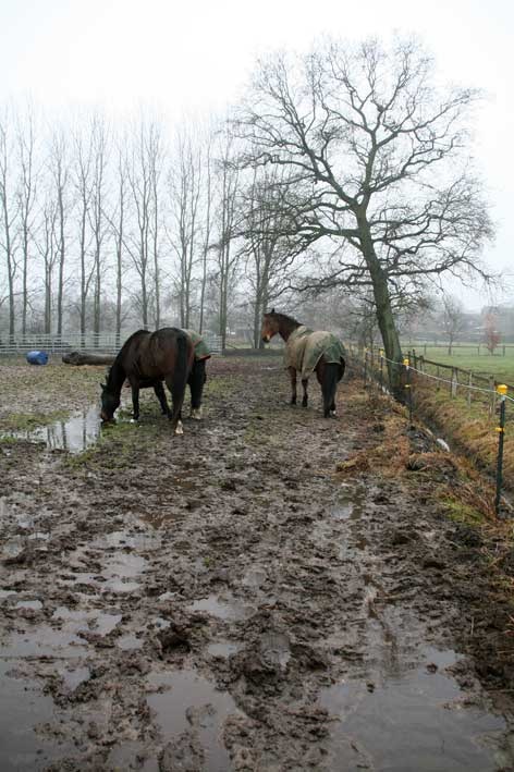 [6.1.2013_5%255B2%255D.jpg]