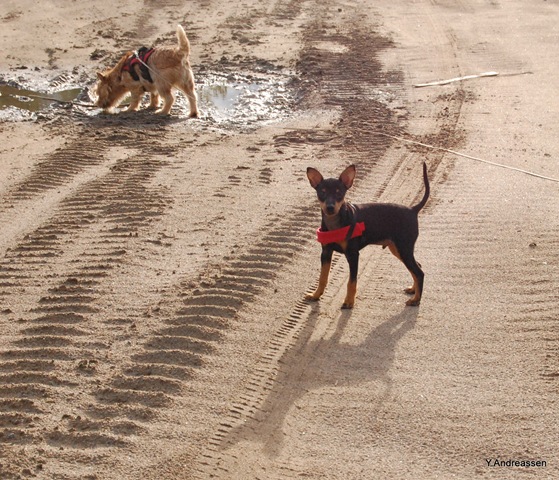 [DSC_8172-1%255B3%255D.jpg]
