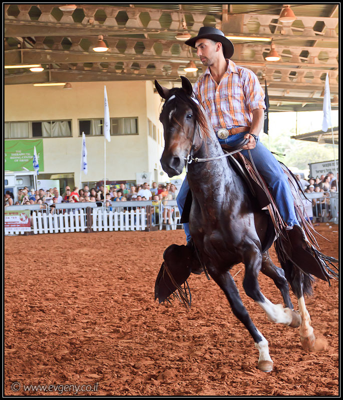 il/Фото: Stallion Show 2011 (20110416 stllion show 087 2374)