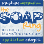 SOAP_RING_redo