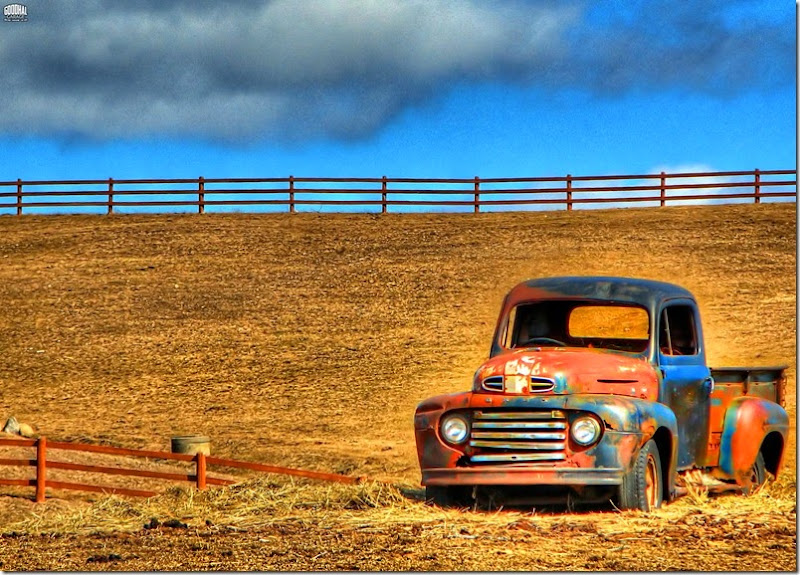 Old_Ford_pickup,_Found_in_Field_Dead