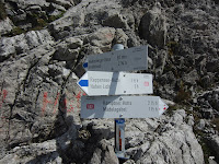 CIMG3389.JPG Photo