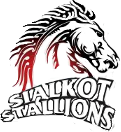 SS.png