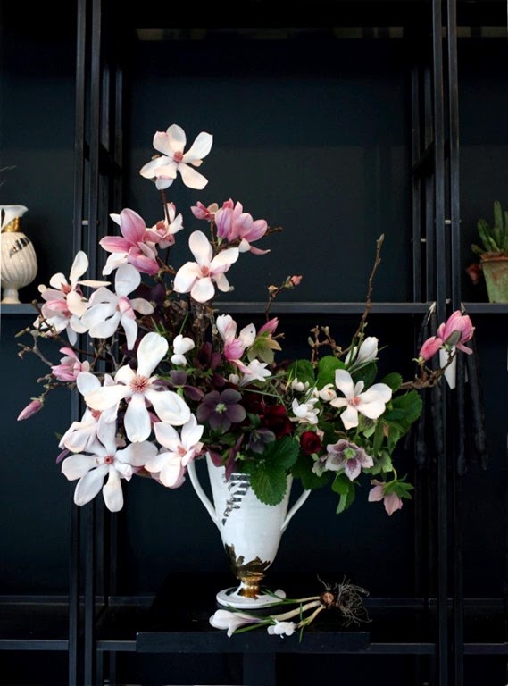 [magnolia-Sophia_Moreno_Bunge_Emily_T%255B2%255D.jpg]