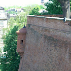 CIMG0095.JPG