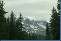 Mt. Rainier 022