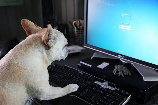 Now let me log in to her computer to see if any important emails have come in.  Hmmm....what's the password?