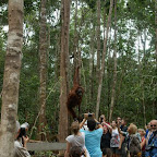 Wer gafft hier wen an? Rani mit Baby