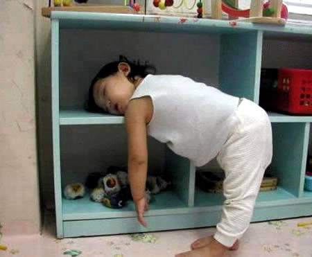 [tired-cute-animals-13%255B2%255D.jpg]