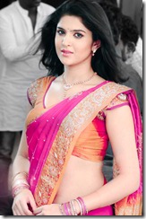 actress_deeksha_seth_cute_in_saree_photo
