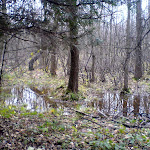dsc00721.jpg