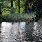20100824_086_small.JPG