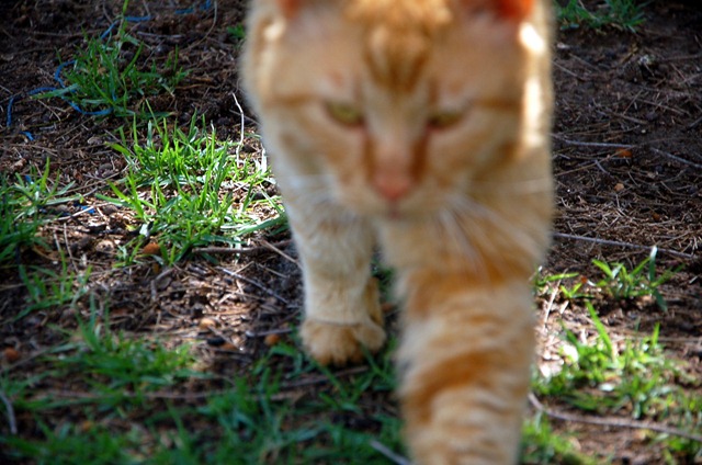 [DSC_0411a%255B3%255D.jpg]