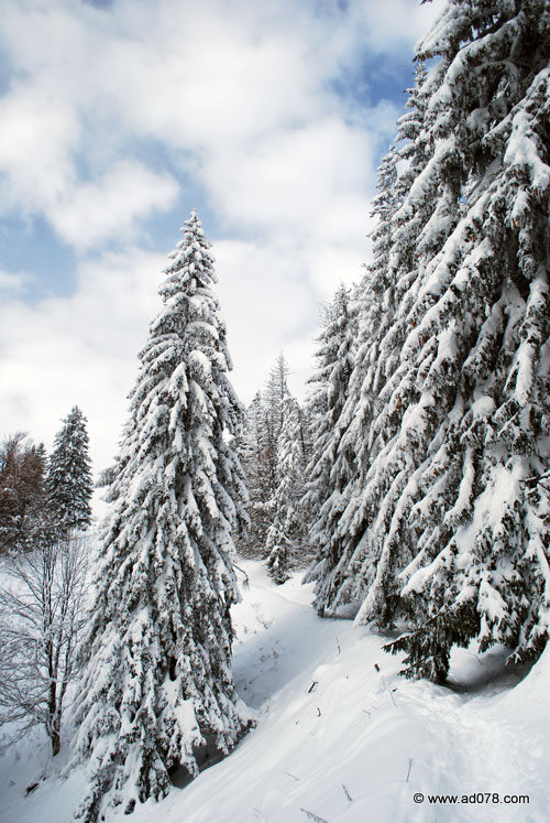 DSC_1909.jpg