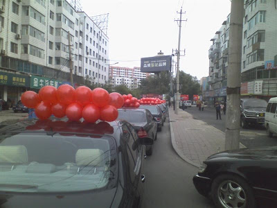 10210949 (Medium).jpg