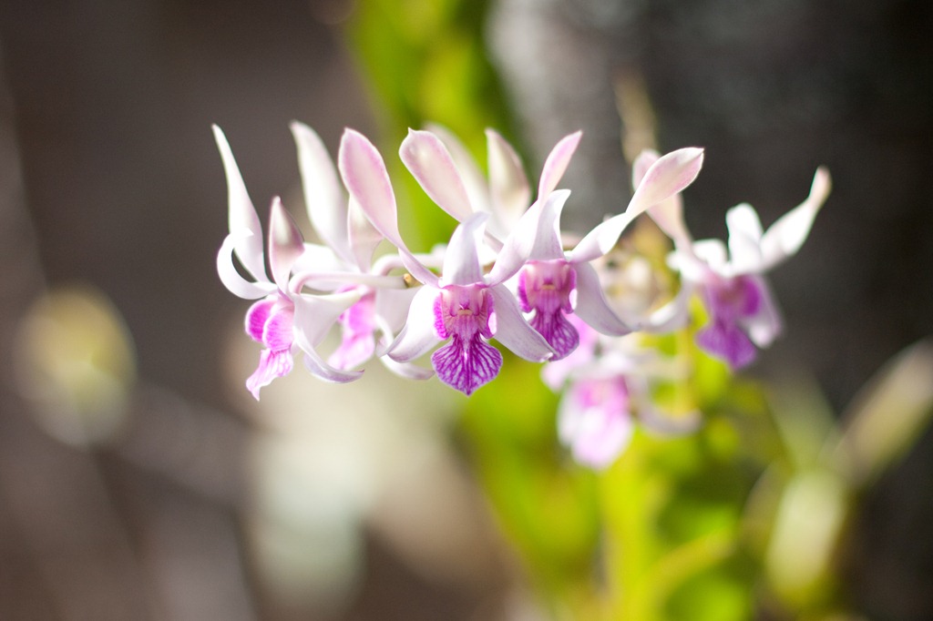 [20121215-IMG_4074%255B12%255D.jpg]