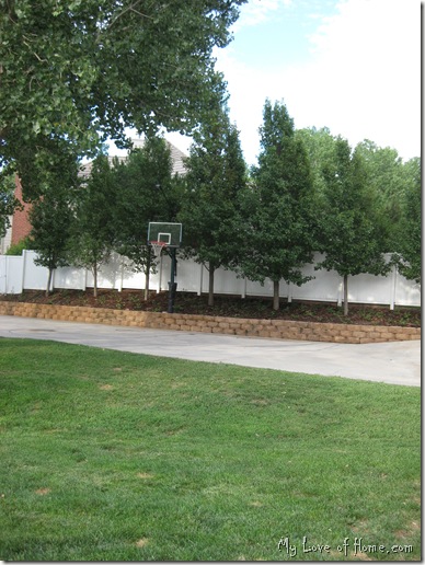 Back Yard Basketball landscape