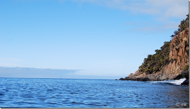 DSC_1164 DSC_1164