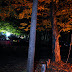 DSC_2491.JPG