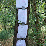 GFB2 Verkenners zomerkamp 2008 015.jpg