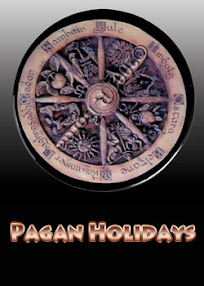 Cover of Anonymous's Book Pagan Holidays