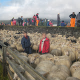 Reykjaréttir