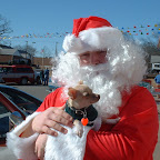 Dogs at Christmas!