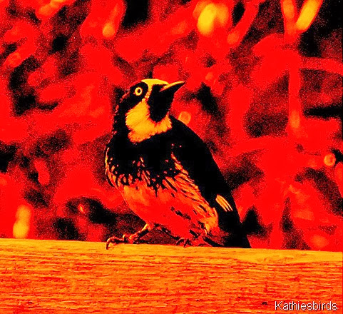 9. Electric woodpecker