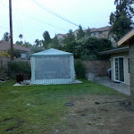 Back yard B4.jpg