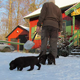 bebbsarna 6 dec