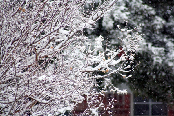 [IMG_83243.jpg]