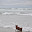 DSC_0258.jpg