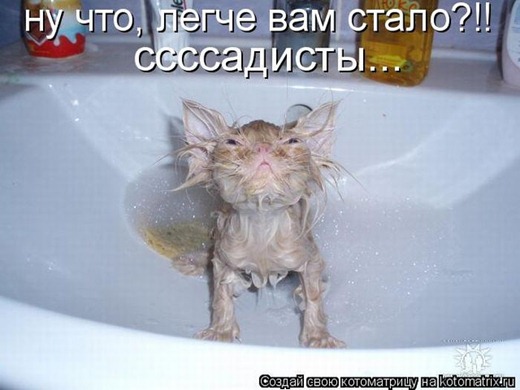 [clip_image001%255B3%255D.jpg]