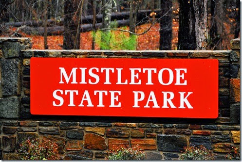 Mistletoe Sign
