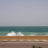 IMG_5064.JPG