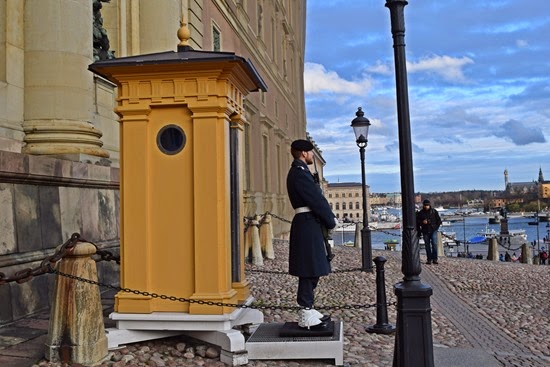 DSC_0084 DSC_0084