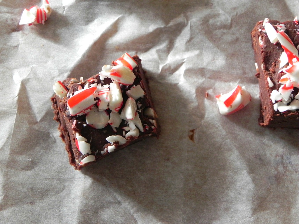 [dark-chocolate-peppermint-fudge-4%255B4%255D.jpg&description=Dark Chocolate Peppermint Fudge')]