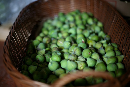 Dottato figs are the most common variety in Italy.