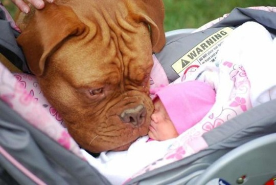 [viral-picdump-pics-12%255B2%255D.jpg]