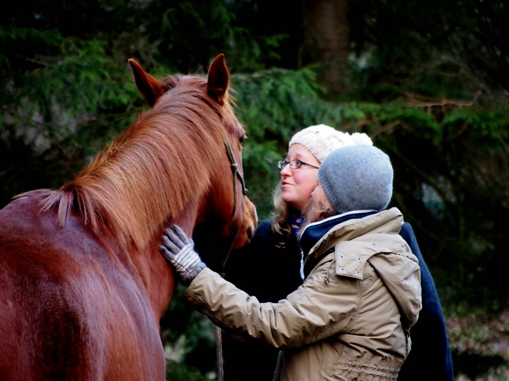 [1%2520Jan%25204%255B3%255D.jpg]