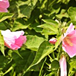 View album View album