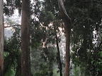 Victoria Park