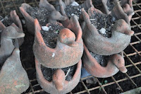 pinoyecofarm penalosa farms_0023.JPG