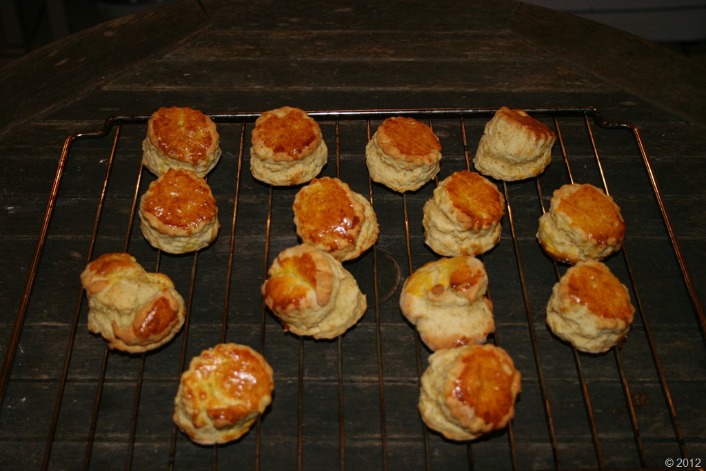 [IMG_0016%255B5%255D.jpg]