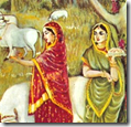 [Wives of the brahmanas offering food]